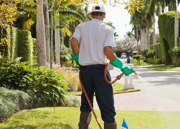 About Stanton MO Pest Control